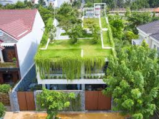 Nhà Phố Xanh Xu Hướng Mới Thiết Kế Bền Vững Được Ưa Chuộng Hiện Nay